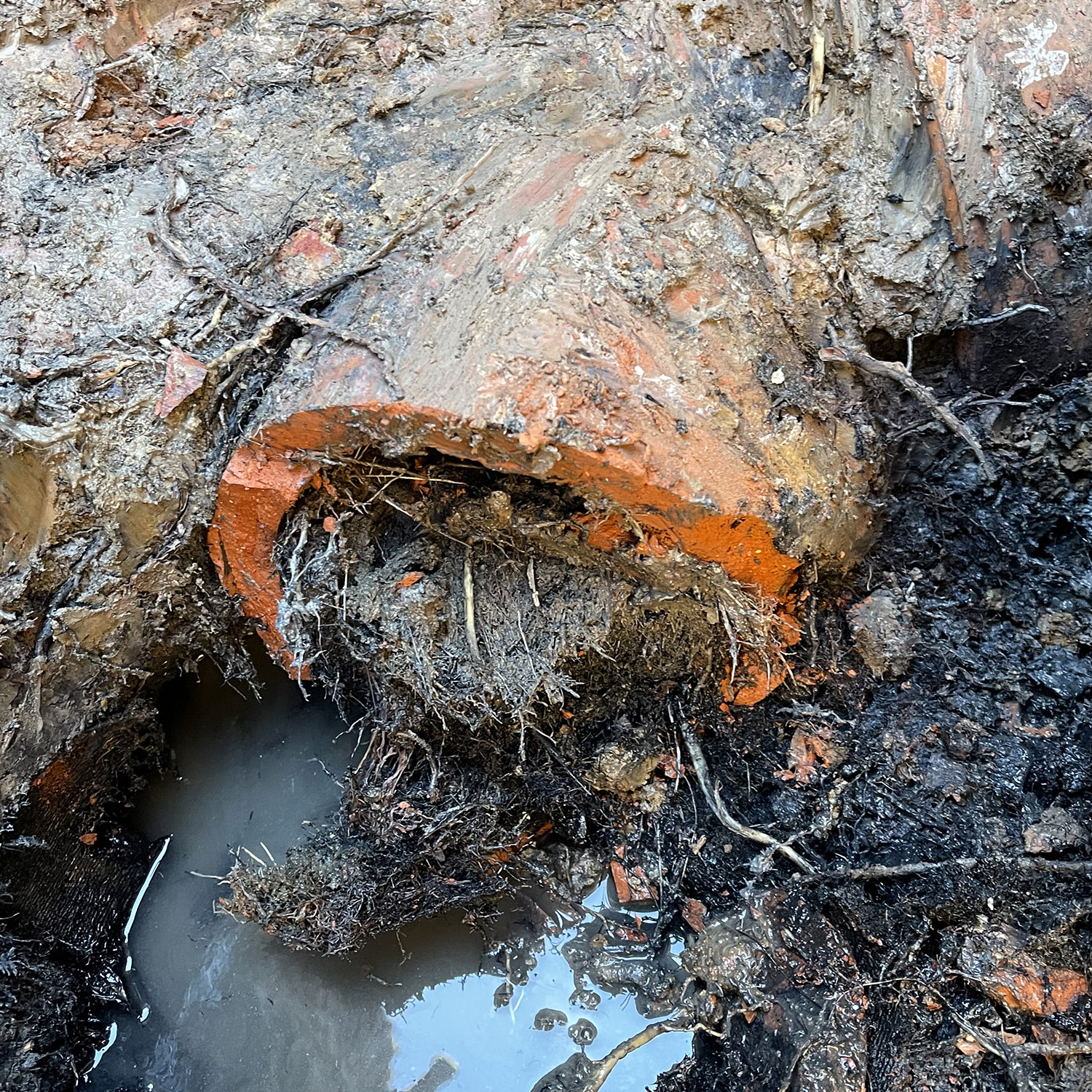 06_BlockedDrains